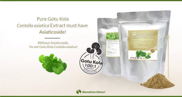 Centella Asiatica (Gotu Kola Pegaga) Pure Extract