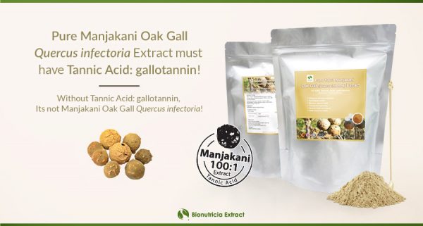 Oak Gall (Quercus Infectoria) Manjakani Pure Extract